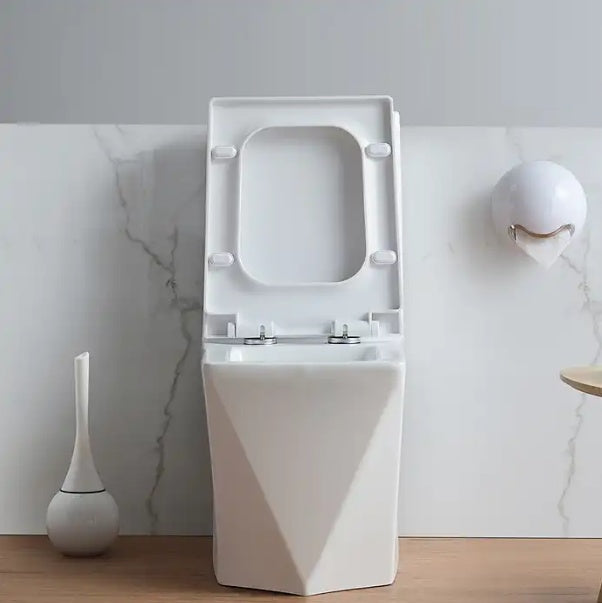 Modern One Piece Toilet